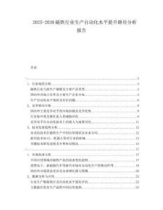 2025-2030磁铁行业生产自动化水平提升路径分析报告