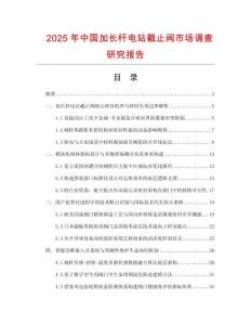 2025年中國加長桿電站截止閥市場調查研究報告