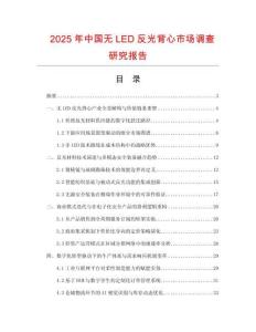 2025年中國無LED反光背心市場調查研究報告