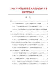 2025年中國變壓器直流電阻速測儀市場調查研究報告