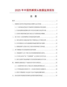 2025年中國熱解探頭數據監測報告
