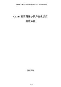 OLED顯示用保護膜產(chǎn)業(yè)化項目實施方案