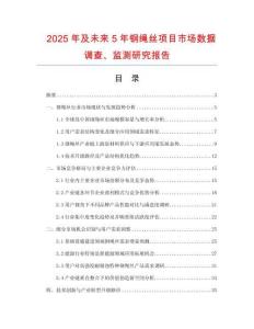 2025年及未來5年鋼繩絲項(xiàng)目市場(chǎng)數(shù)據(jù)調(diào)查、監(jiān)測(cè)研究報(bào)告