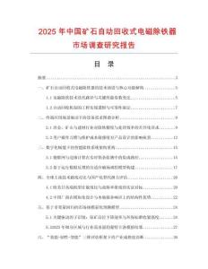 2025年中國礦石自動回收式電磁除鐵器市場調查研究報告