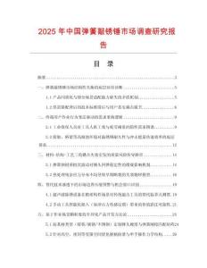 2025年中國(guó)彈簧敲銹錘市場(chǎng)調(diào)查研究報(bào)告