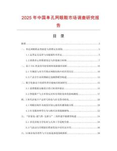 2025年中國單孔網眼鞋市場調查研究報告