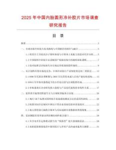 2025年中国内胎圆形冷补胶片市场调查研究报告