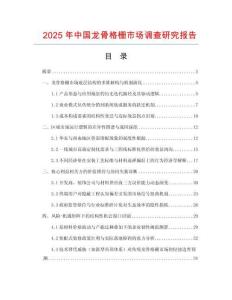 2025年中國龍骨格柵市場調(diào)查研究報(bào)告