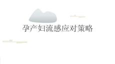 孕產(chǎn)婦流感應(yīng)對(duì)策略2026