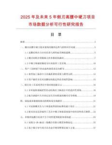 2025年及未來(lái)5年側(cè)刃高腰中硬刀項(xiàng)目市場(chǎng)數(shù)據(jù)分析可行性研究報(bào)告