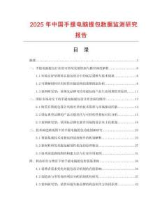 2025年中國手提電腦提包數據監測研究報告