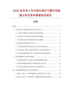 2025至未來5年中國長柄打氣嘴市場數(shù)據(jù)分析及競爭策略研究報告