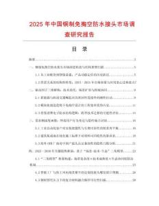 2025年中國銅制免掏空防水接頭市場調查研究報告