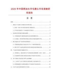 2025年中國柄加長羊毛磨頭市場調(diào)查研究報(bào)告