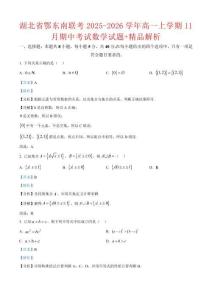 湖北省鄂东南联考2025-2026学年高一上学期11月期中考试数学试题（解析版）