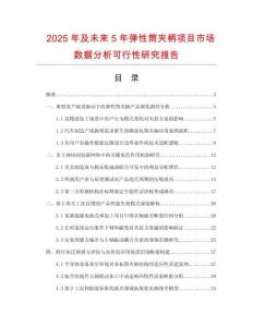 2025年及未來5年彈性筒夾柄項(xiàng)目市場(chǎng)數(shù)據(jù)分析可行性研究報(bào)告