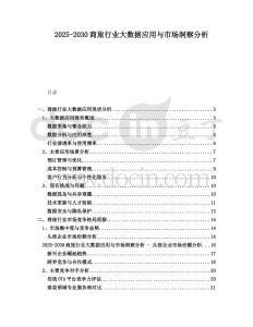 2025-2030商旅行業(yè)大數(shù)據(jù)應(yīng)用與市場洞察分析