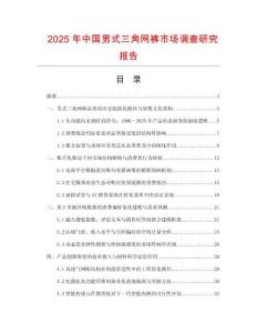 2025年中國男式三角網褲市場調查研究報告