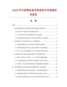 2025年中國鋼絲繩吊裝索具市場調(diào)查研究報告
