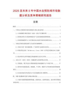 2025至未來5年中國水擊預防閥市場數據分析及競爭策略研究報告