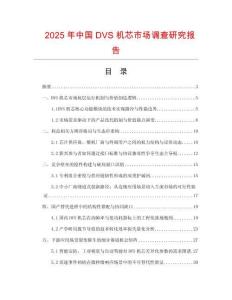 2025年中國(guó)DVS機(jī)芯市場(chǎng)調(diào)查研究報(bào)告