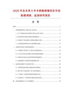 2025年及未來5年木柄敲銹錘項目市場數(shù)據(jù)調(diào)查、監(jiān)測研究報告