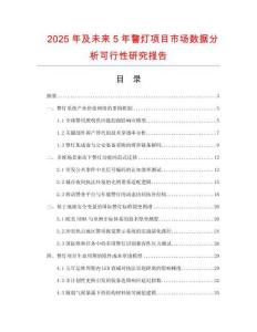 2025年及未來5年警燈項(xiàng)目市場數(shù)據(jù)分析可行性研究報(bào)告