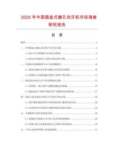2025年中國圓盤式搪孔攻牙機市場調查研究報告