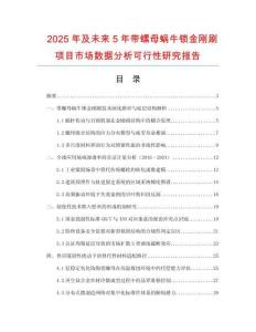 2025年及未來5年帶螺母蝸牛鎖金剛刷項目市場數據分析可行性研究報告