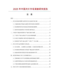 2025年中國沖片市場調(diào)查研究報告