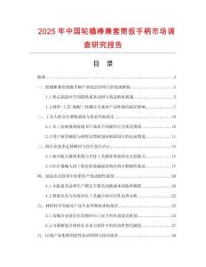 2025年中國輪橇棒兼套筒扳手柄市場調(diào)查研究報(bào)告