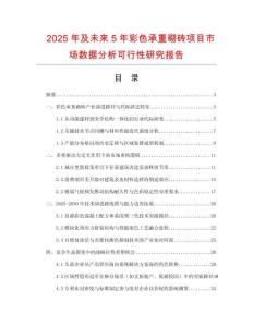 2025年及未來5年彩色承重砌磚項(xiàng)目市場數(shù)據(jù)分析可行性研究報告