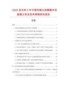 2025至未來5年中國雙錘頭按摩器市場數(shù)據(jù)分析及競爭策略研究報告