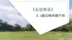 《走進林業》課件——第5單元  森林碳匯