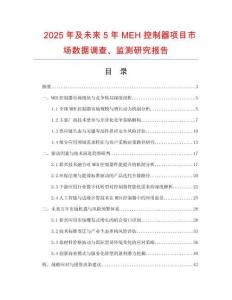 2025年及未來5年MEH控制器項目市場數(shù)據(jù)調(diào)查、監(jiān)測研究報告