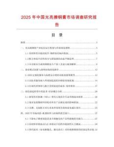 2025年中国光亮擦铜膏市场调查研究报告