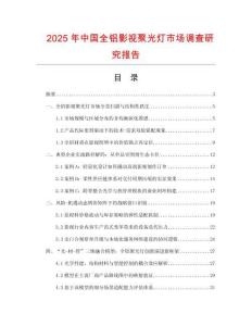 2025年中國全鋁影視聚光燈市場調(diào)查研究報告