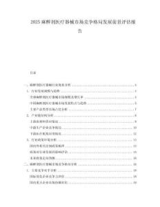 2025麻醉劑醫(yī)療器械市場競爭格局發(fā)展前景評估報告