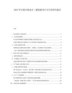 2025年壓縮音頻錄音／播放板項目可行性研究報告