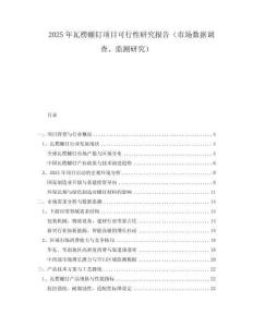 2025年瓦楞螺釘項(xiàng)目可行性研究報(bào)告（市場數(shù)據(jù)調(diào)查、監(jiān)測研究）