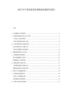 2025年中國明藍(lán)保護(hù)膜數(shù)據(jù)監(jiān)測研究報(bào)告
