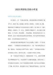 2023同學(xué)生日的小作文