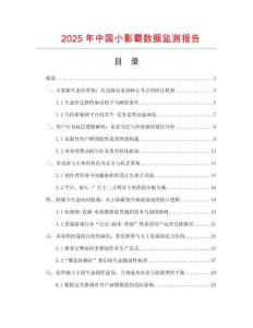 2025年中国小影霸数据监测报告