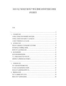 2025電子游戲手游用戶增長策略分析研究報告規(guī)劃評估報告
