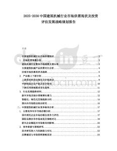 2025-2030中國建筑機械行業市場供需現狀及投資評估發展戰略規劃報告