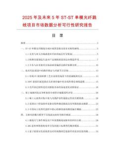 2025年及未來5年ST-ST單模光纖跳線項目市場數(shù)據(jù)分析可行性研究報告