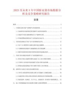 2025至未來5年中國臟衣袋市場數據分析及競爭策略研究報告