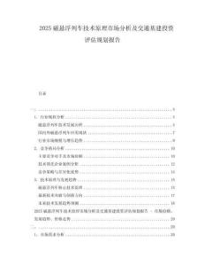 2025磁懸浮列車技術(shù)原理市場分析及交通基建投資評估規(guī)劃報告