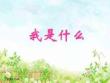 02.《我是什么》PPT課件PPT課件