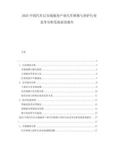 2025中國汽車后市場服務(wù)產(chǎn)業(yè)汽車維修與養(yǎng)護行業(yè)競爭分析發(fā)展前景報告